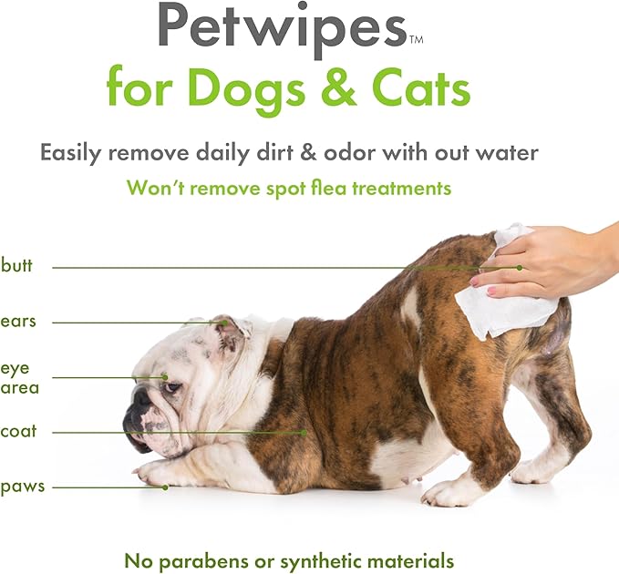Petkin Plant-Based PetWipes, 200 Wipes - Biobased, Sustainable, Big & Thick Pet Wipes for Dogs & Cats - for Face, Paws, Ears, Body & Eye Area - Consciously Cleans & Conditions - Unscented