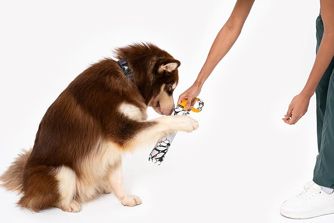 OllyDog Tugger | Durable Dog Tug Toy | Recycled | Tough Dog Bite Pillow | Handle | Interactive Pull Toy | Fetch & Training (Magnolia)