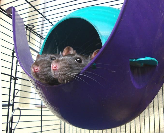 Lixit Igloos and Hideaways for Guinea Pigs, Rats, Mice, Hamsters, Gerbils and Other Small Animals (Assorted, Large Space Pod)