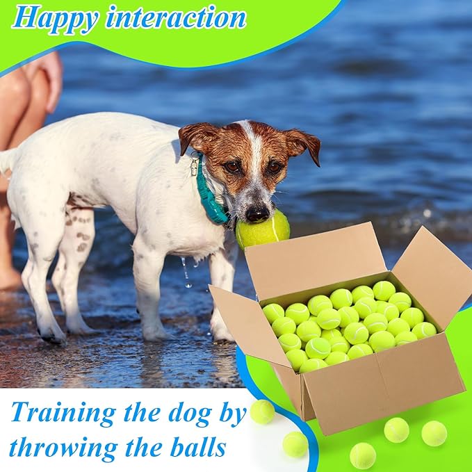 Skylety 100 Pcs 2.5 Inch Squeaky Tennis Balls Bulk for Dogs Bouncy Floatable Tennis Balls Dog Playing Supplies Training Interactive Fetch Toys Indoor and Outdoor for Small Medium Puppy (Green)