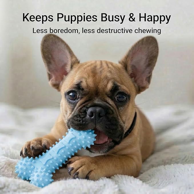 Puppy Chew Toys 6 Pack, Soft TPR Teething Toys for Puppies 2–10 Months, BPA Free Non Toxic Set with Treat Dispensing Stick, Tug Ring & Squeaky Ball for Small Medium Dogs (Blue)