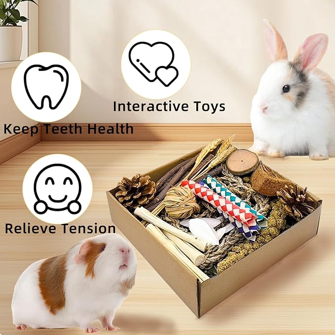Hamster Toys Box for Chewing&Teeth Grinding Natural Hamster Treats for Chinchilla Rat Hamster Bunny and Other Small Pets (Small)