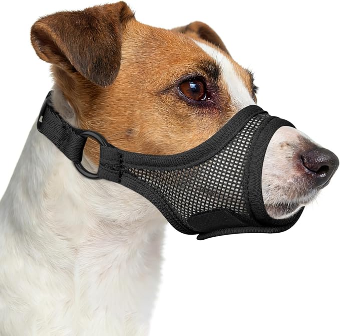 Mayerzon Mesh Dog Muzzle, Adjustable Muzzle for Small Medium Dogs, Prevent Fierce Barking Biting Eating, Ideal for Grooming Vet Visits Walking, Allow Panting & Drinking, Soft & Breathable (Black, S)