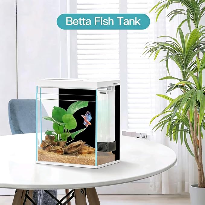 2 Gallon Glass Betta Fish Tank with Heater Filter and Light, Self-Cleaning Small Aquarium Starter Kits