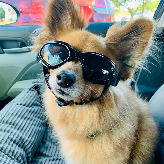 Dog Goggles Medium Breed, Dog Sunglasses for Medium Dogs Eye Protection Windproof, Black