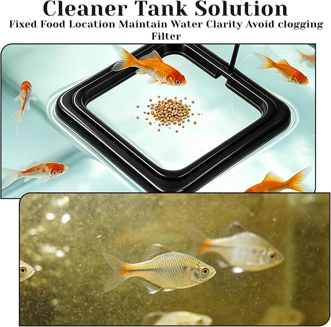 4 Pcs Fish Feeding Ring, Round & Square Floating Aquarium Feeding Ring with Suction Cup, Easy to Use for Betta, Goldfish, Guppy, Turtle & Small Fish (Black)
