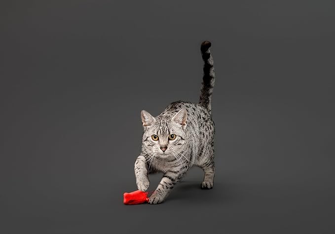 Playology Cat Toys | Catnip Toy Feather Fish (Value 5-Pack) for Chewing Chasing and Pouncing | Interactive Cat Toys for Indoor Cats