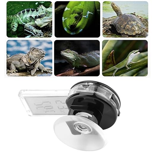 Rengue with Suction Cup, LED Digital Ipx5 Reptile Thermometer and Humidity Gauge Reptile Red Temperature and Humidity Monitor for Rearing Box Electronic Thermostat (Black)