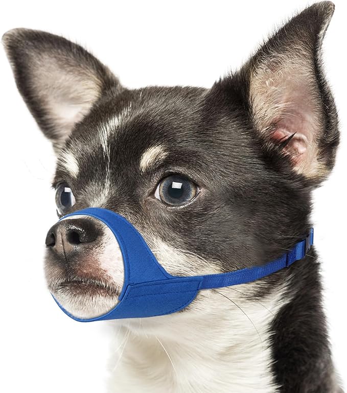 Mayerzon Short Snout Dog Muzzle for Small Medium Dogs, Soft & Sturdy Fabric, Anti Excessive Biting Chewing, Suits Chihuahua Shih Tzu Maltese for Grooming Vet Visits Walk, Allows Drinking(Blue, S)
