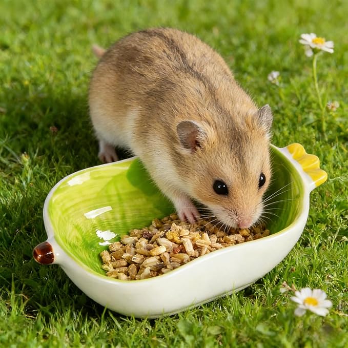 Small Ceramic Hamster Water Bowl Guinea Pig Food Bowl Cute Ferret Rat Chinchilla Rabbit Feeding Dish Young Animal Feeder (Green)