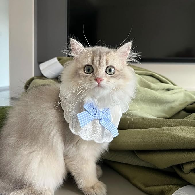 Elegant Lace Cat Collar with Cute Bow,Kitty Collars with Bow Tie,Pet Lace Bib Collar with Cute Bow,Cat Princess Costumes,Blue1 Piece