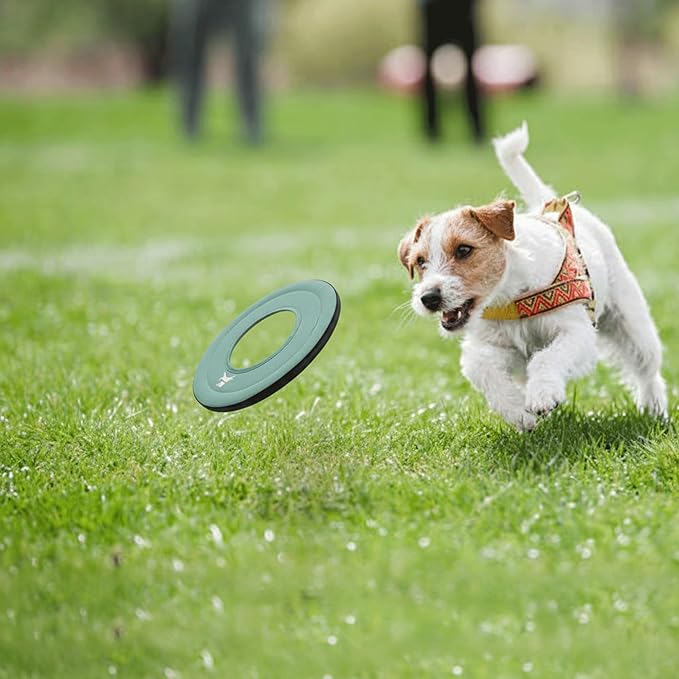 OllyDog Mini Super Flyer, Floating Dog Disc for Water Play – Soft Durable Dog Fetch Toy, Eco-Friendly Recycled Material, Gentle on Teeth, Lightweight Flying Disc for Medium, Small Dogs (Surf, 9")