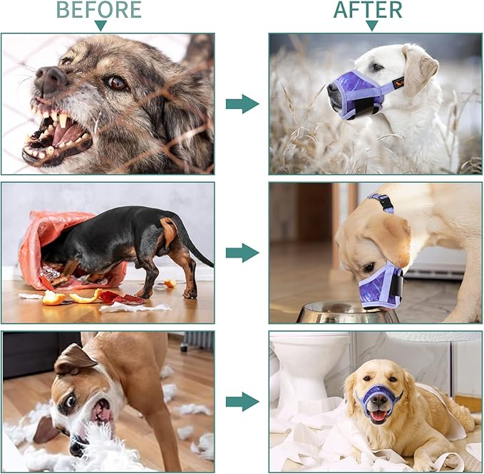 HEELE Dog Muzzle,Soft Nylon Muzzle Anti Biting Barking Chewing,Air Mesh Breathable Drinkable Adjustable Loop Pets Muzzle for Small Medium Large Dogs 4 Colors 4 Sizes (P-Meteor Purple, M)
