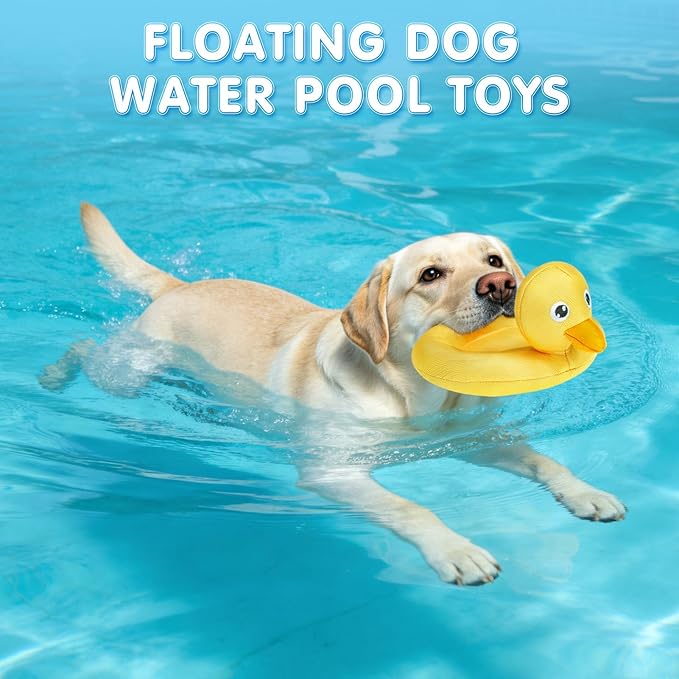 SCENEREAL Dog Water Toy for Medium Small Dogs- 2 Pack Floating Dog Toys Squeaky Toys for Pool Fetch, Turtle & Duck Shape Durable Pet Chew Toy Summer Outdoor Interactive Play