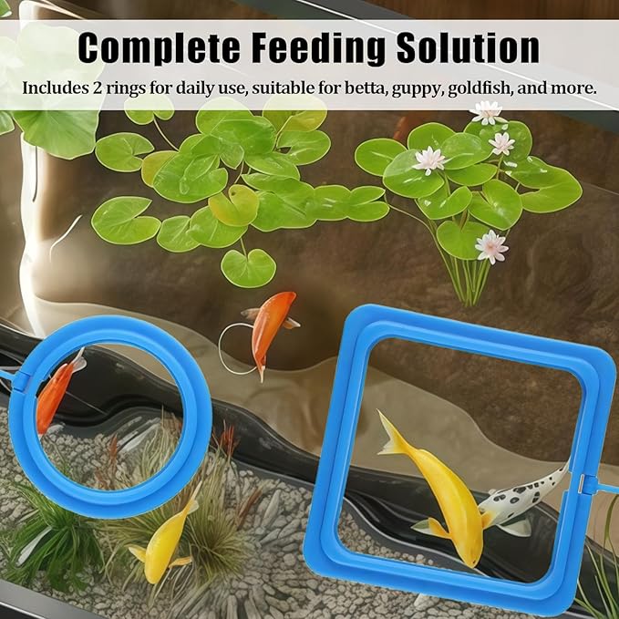 2PCS Small Fish Feeding Ring, Square and Round Mini Aquarium Feeder with Strong Suction Cup Floating Fish Feeder Ring for Betta Goldfish Guppy (Blue)