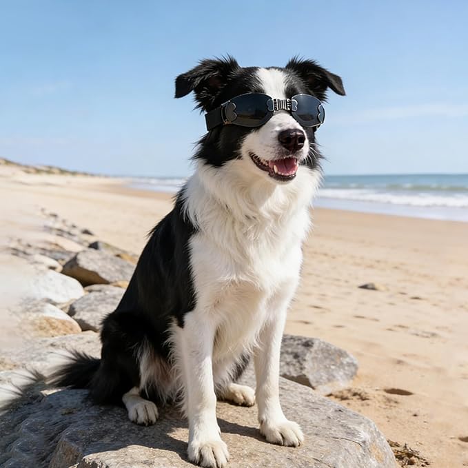 Dog Goggles Large Breeds, UV Protection Dog Sunglasses, Outdoor Activities Hiking/Camping Windproof Adjustable Doggy Glasses for Medium to Large Pet Eyewear