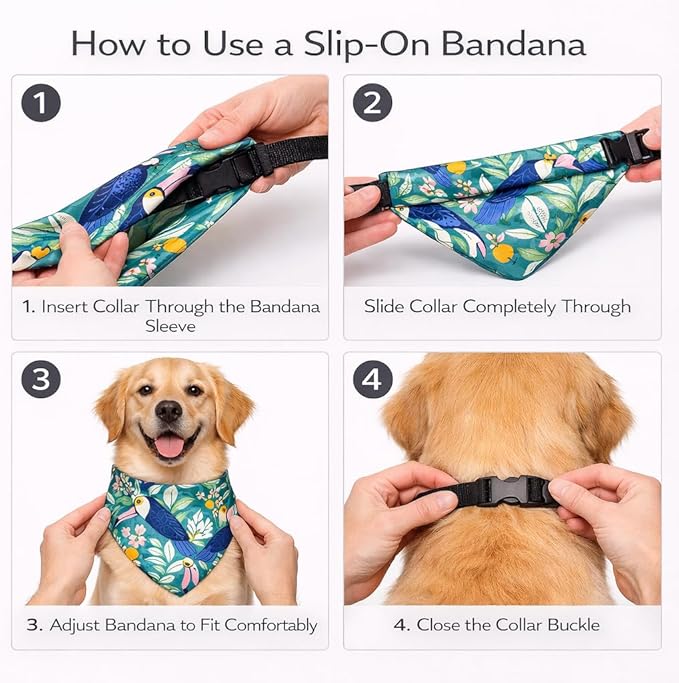 Luxury Satin Dog Bandana – Slip-On Collar Style, Premium Pet Scarf for Medium, Large & XL Dogs – Special Occasion Accessory (Collar Not Included) (Medium - Extra Large, Toucan (O) Luxe - Satin)