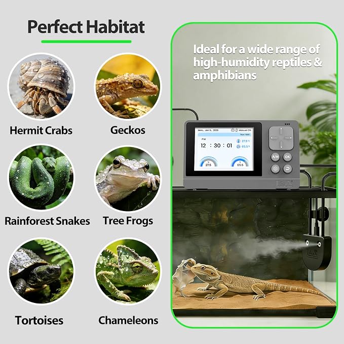J&A Automatic Reptile Fogger Humidifier Temp Humidity Controller Terrarium | New-Gen Reptile Mister with Programmable Timer & Thermo-Hygrometer for Lizard, Snake, Jumping Spider Tanks, Grey & Black