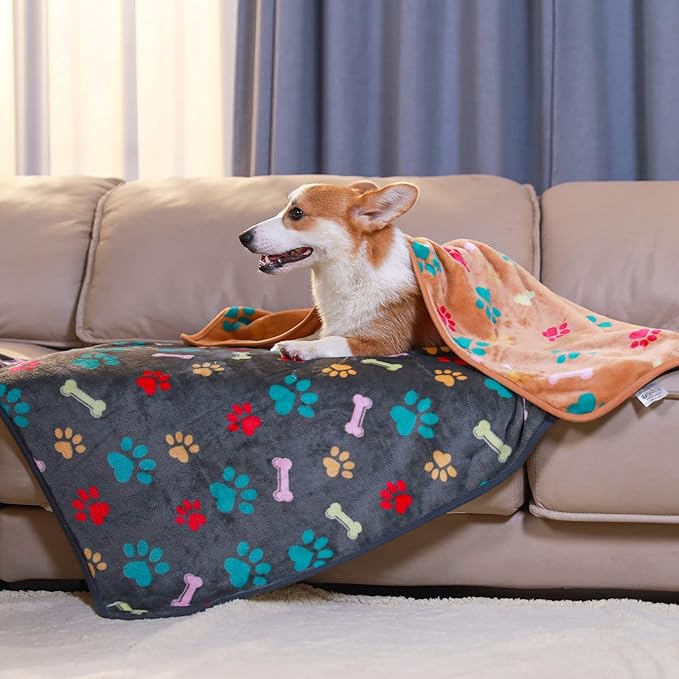 Luciphia 1 Pack 6 Dog Blankets Cat Soft Fluffy Fleece Pet Blanket Warm Cute Print Design Puppy Kitten Doggy Bone Large(41"x31")