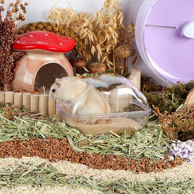 Hamster Small Animal Sand Bath Box Bathtub Critter's Bathroom with Bath Sand and Scoop Accessories for Mice Hedgehog Lemming Gerbils or Other Small Pets (Medium)