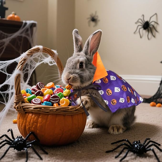 NAMSAN Cat Halloween Costumes, Wizard Cloak Vampire Cat Apparel, Small Dogs Witch Clothes Cosplay Outfit for Halloween Themed Party, Purple