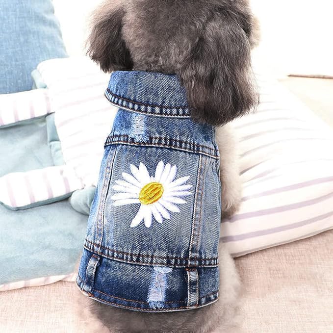Dog Denim Jacket with Embroidered Daisy, Ripped Vintage Jean Vest for Small Dogs, Pugs, Chihuahuas, Spring Summer Fall Festival Outfit, X-Large (Fits Chest 17-18")