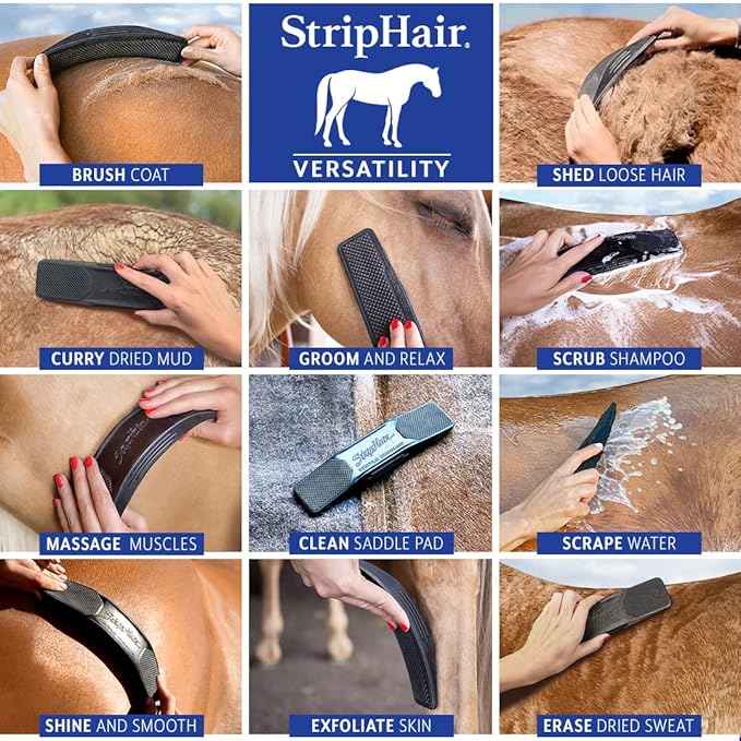 StripHair Horse Dog Grooming Set 2pc - Gentle Groomer 6-in-1 Shedding Coat Shine Massage Tool (original black) and Reusable Coat Care Cloth Wipes (12x12in)