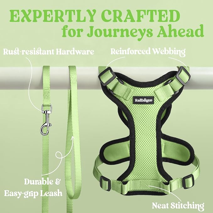 rabbitgoo Cat Harness and Leash for Walking, Escape Proof Soft Adjustable Vest Harnesses for Cats, Easy Control Breathable Reflective Strips Jacket, Light Green, XXS