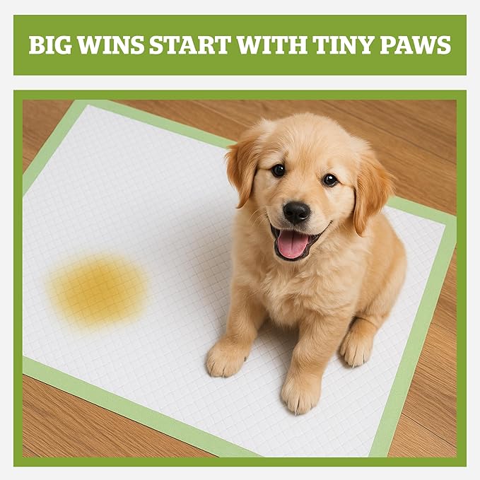 Pogi’s Dog Pads with Sticky Tabs – Large, Super Absorbent, Odor Blocking, 20-Count (24x24in)
