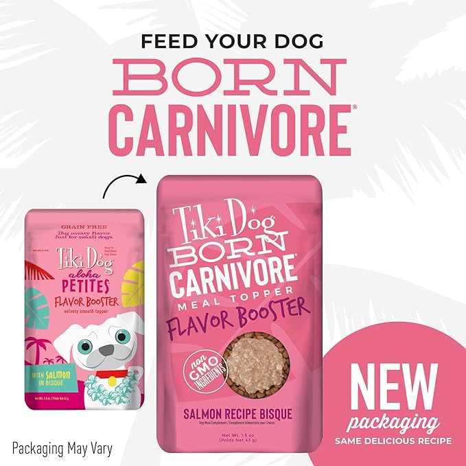 Tiki Dog Born Carnivore Dog - Dog Treats - Bisque - Salmon - 1.5 oz Pouch