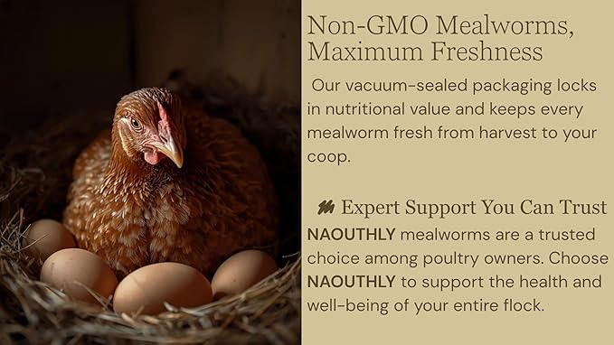Bulk Dried Mealworms 5Lb Bag -Premium Non-GMO Dried Mealworms for Chicken, Nutritious High Protein - 100% Natural Mealworms for Laying Hens, Birds, Ducks, Chicken Feed