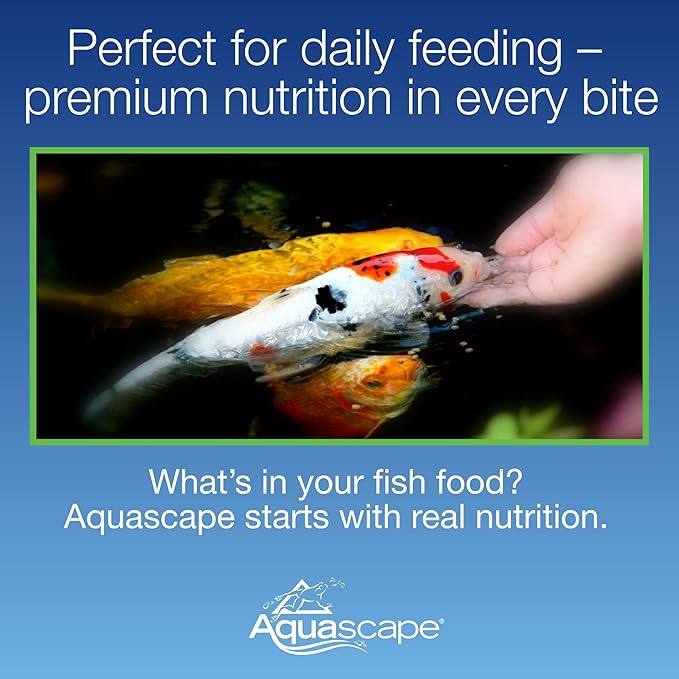 Aquascape Premium Staple Fish Food Pellets for Medium to Large Pond Fish, Large Pellet, 11 Pounds / 5 kg, 81049