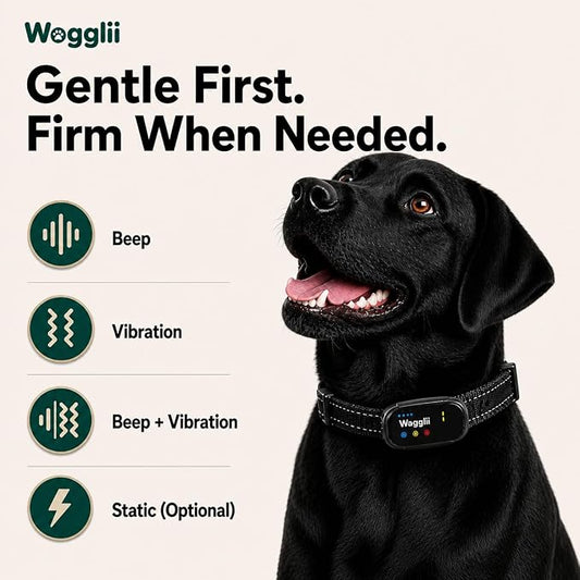 Smart AI Bark Collar for Small Medium Large Dogs, Automatic Anti Barking Device with 5 Sensitivity Levels, LCD Display, Vibration and Static Modes, Rechargeable IP67 Waterproof, Black