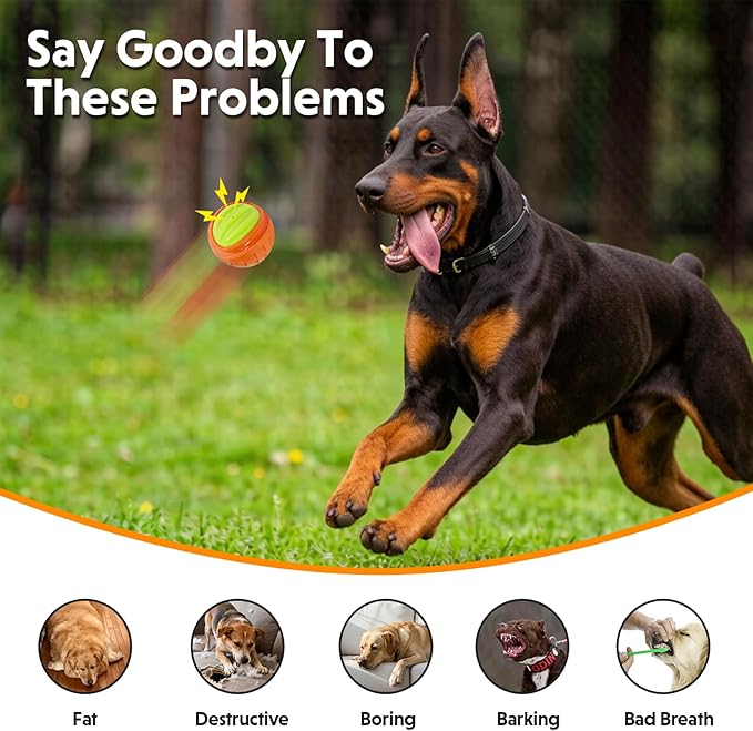 Dog Toy Ball, Indestructible Squeaky Ball for Aggressive Chewers, 3" TPR Rubber Clean Teeth, Relieve Anxiety & Boredom, Interactive Fetch Toy for Medium Large Dogs, Pools &Outdoor Play(Orange)
