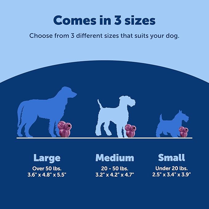 PetSafe Busy Buddy Barnacle, Medium