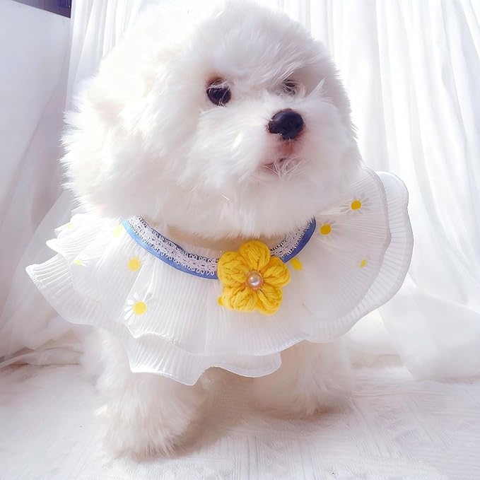 Elegant Lace Cat Collar with Cute Bow,Cat Collar with Bow Tie,Pet Lace Bib Collar with Cute Bow,Cat Princess Costumes,Yellow Daisy,1 Piece ﻿