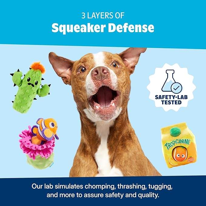 Barkbox Sunflower Flinger Flying Disc Dog Toy | Fluff-Free Crinkle Disc with T-Shirt Rope Edge | Durable Fetch Toy for Dogs & Puppies