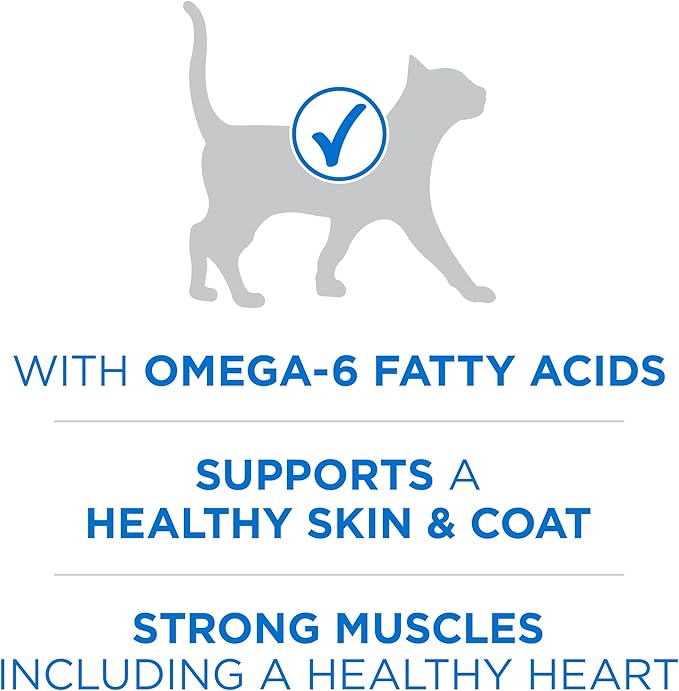 Purina ONE Plus High Protein Cat Food Dry Salmon and Ocean Whitefish Cat Skin and Coat Health Formula - 16 lb. Bag