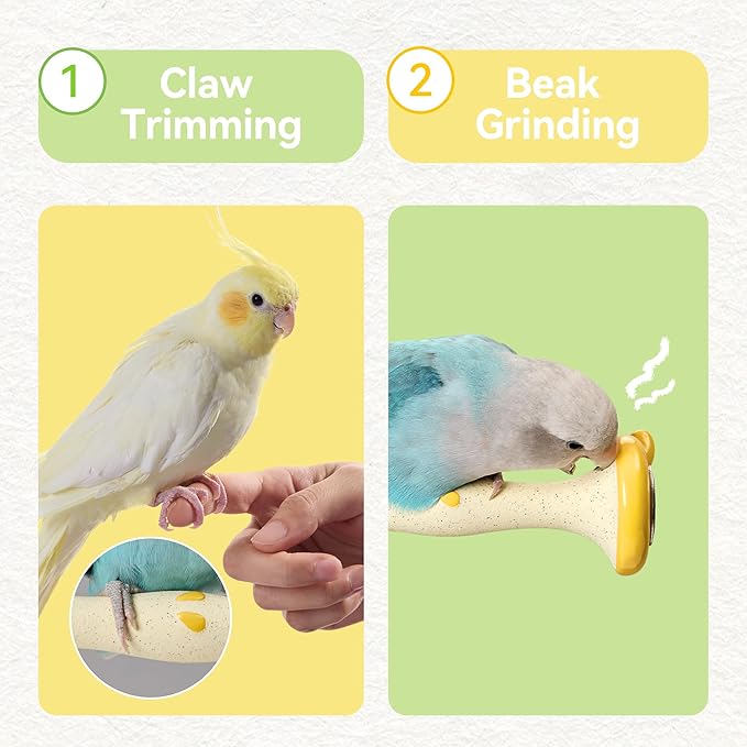 Apple Shape Parrot Perch Stand Ceramic Beak Grinding Stone Toy for Nail Trimming - Cage Accessories for Parrot, Budgie, Cockatiel, Lovebird, Other Small Medium Birds (Yellow)