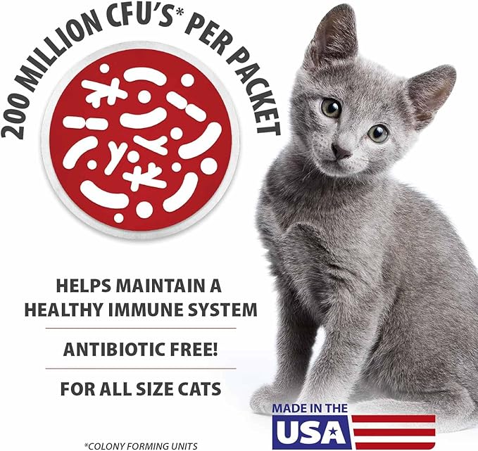 Jeffers Belly Buddy Cat Probiotic Powder Packets, 30 Count - Veterinary Formulated, Four Probiotic Strains & Vitamins for Gut Health, Diarrhea & Digestive Balance, Chicken Liver Flavor, USA Made