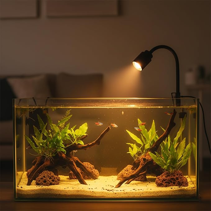 Zoom Mini Aquarium Spotlight with Timer – Gooseneck Clip-On Lamp, 15°–90° Zoom Beam, Tri-Color White/Warm White/Warm Light, Full Brightness Dimming (Black - NO Timer)