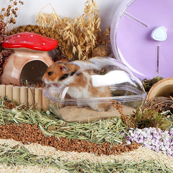 Hamster Small Animal Sand Bath Box Bathtub Critter's Bathroom with Bath Sand and Scoop Accessories for Mice Hedgehog Lemming Gerbils or Other Small Pets (Large)