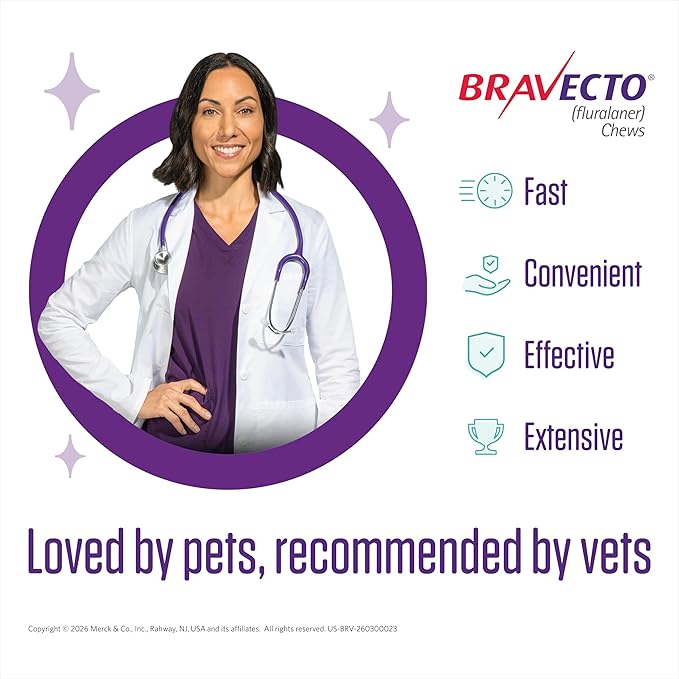 BRAVECTO Chew for Dogs, Flea & Tick, 1 Chew, 12 Week Supply, 22-44 lbs., Green Box