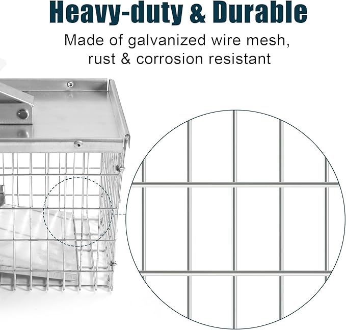 Live Animal Cage Trap, Heavy Duty Humane Cage Trap for Squirrels, Chipmunks, Rabbits, and Small Rodents, Safely Catch & Release - 1 Trap