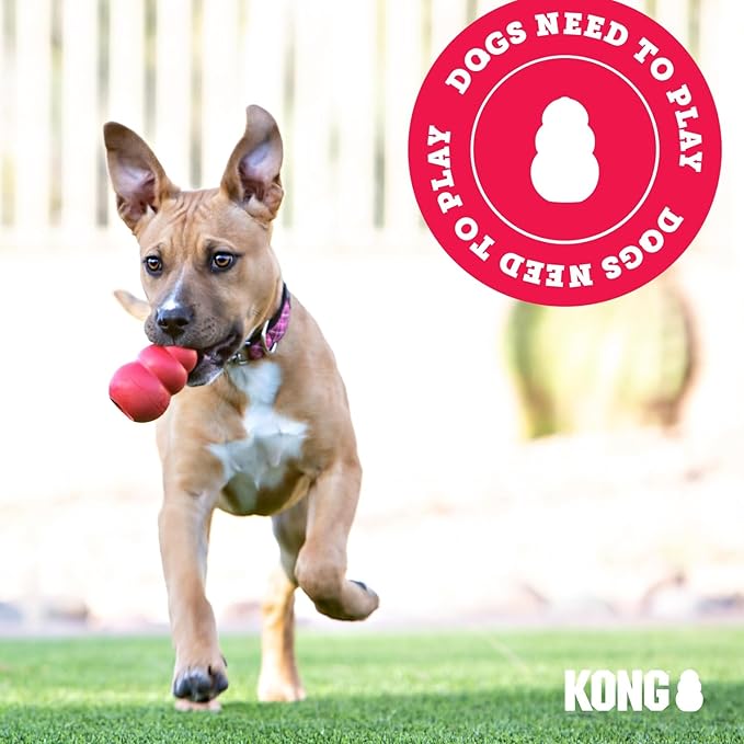 KONG Cozie Ali Alligator & SqueakAir Balls (3 Pack) - Dog Fetch & Chew Toys for Fun - Soft Toy Alligator for Indoor Play - Durable Dog Toy Balls for Outdoor Play - for Medium Dogs