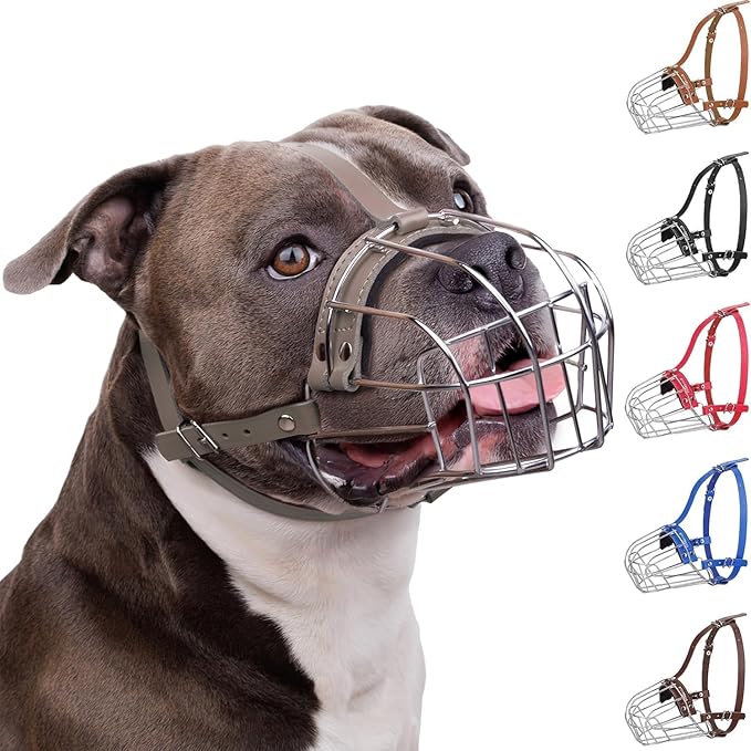 BRONZEDOG Pitbull Dog Muzzle Breathable Metal Basket for Large Dogs Amstaff Staffordshire Terrier Biting Chewing Barking (Leather, Gray)
