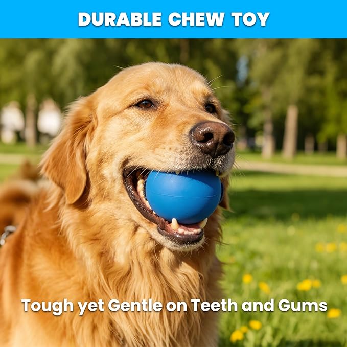 Solid Rubber Dog Ball for Large Medium Dogs - 2.8" Heavy Duty Indestructible Outdoor Fetch Toy for Training - Bouncy 100% Natural Rubber Ball for Aggressive Chewers, Durable Tough Yet Soft