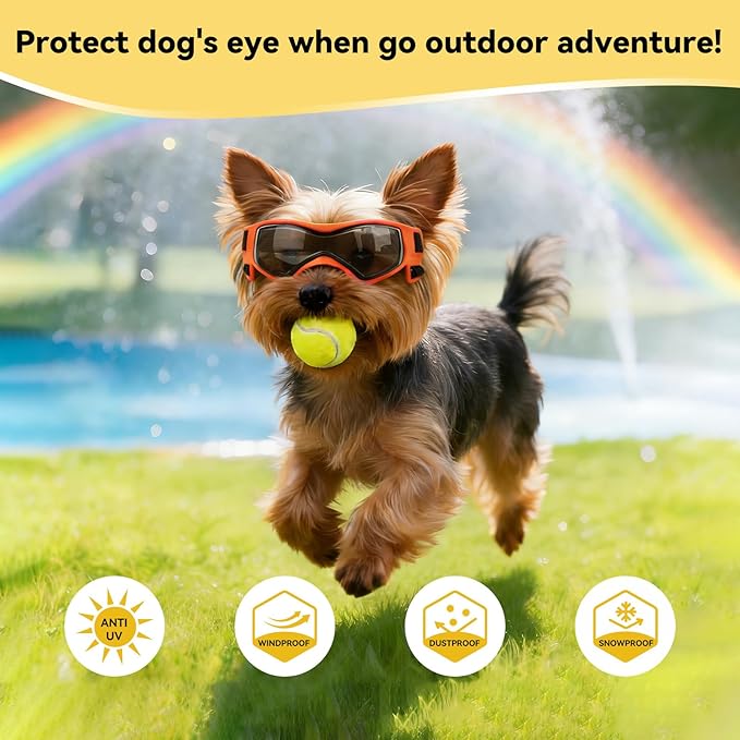 Dog Sunglasses for Extra Small Breed UV Protection Windproof XS Dog Goggles with Adjustable Head & Chin Straps for Ride Car/Hiking Travel/On Beach-Orange
