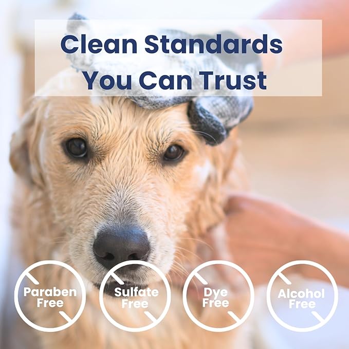 Dog Shampoo & Conditioner with Oatmeal, Aloe & Coconut 16 oz, All-in-One for Long, Curly, Short & Wavy Coats, Sensitive Skin, Sulfate & Paraben Free, Made in USA
