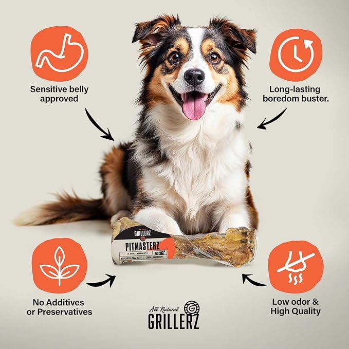 Grillerz Scott Pet Beef Mammoth Bone, 1 Count, Beef Bones for Dogs, Rawhide Free, Dog Chew for Healthy Teeth & Gums, High Protein, Easy to Digest, Long Lasting, Natural Treats for All Breeds